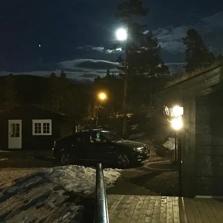 15 Person In Treungen